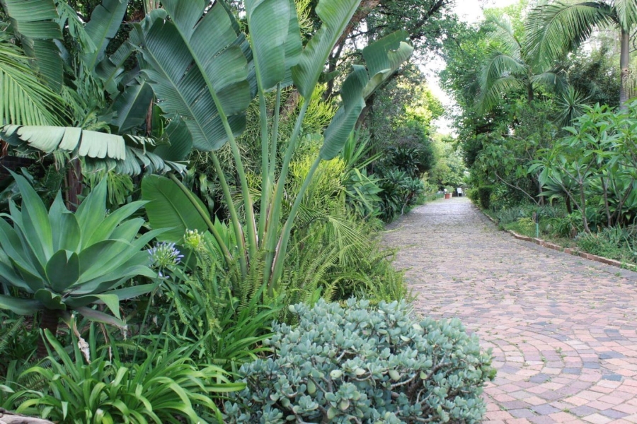 3 Bedroom Property for Sale in Bryanston Gauteng