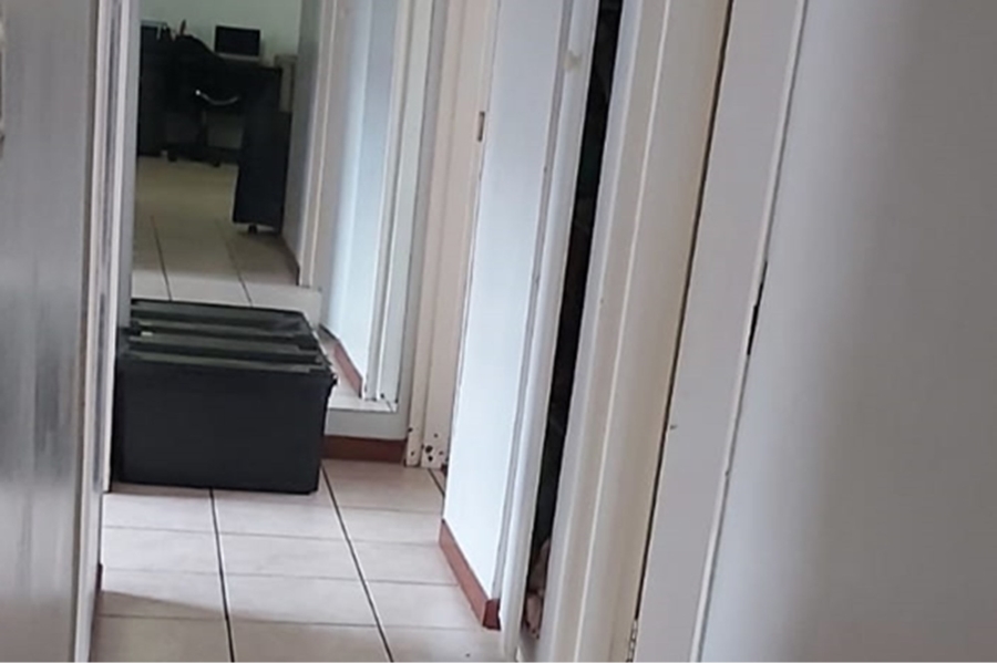 To Let 3 Bedroom Property for Rent in Noordwyk Gauteng