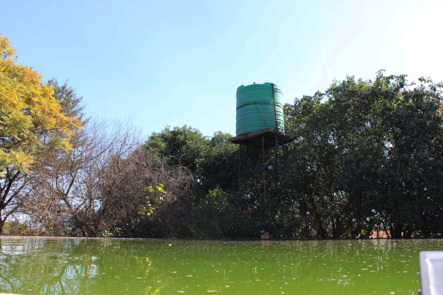 12 Bedroom Property for Sale in Swacina Park A H Gauteng