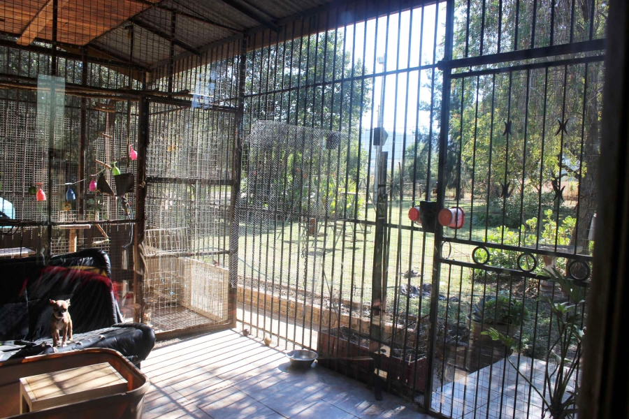 12 Bedroom Property for Sale in Swacina Park A H Gauteng