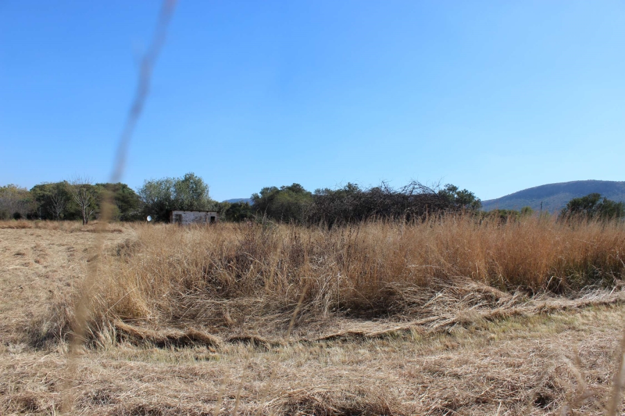12 Bedroom Property for Sale in Swacina Park A H Gauteng