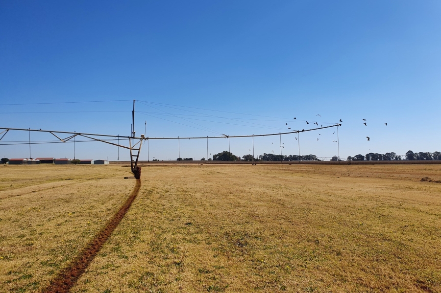 4 Bedroom Property for Sale in Bapsfontein Gauteng