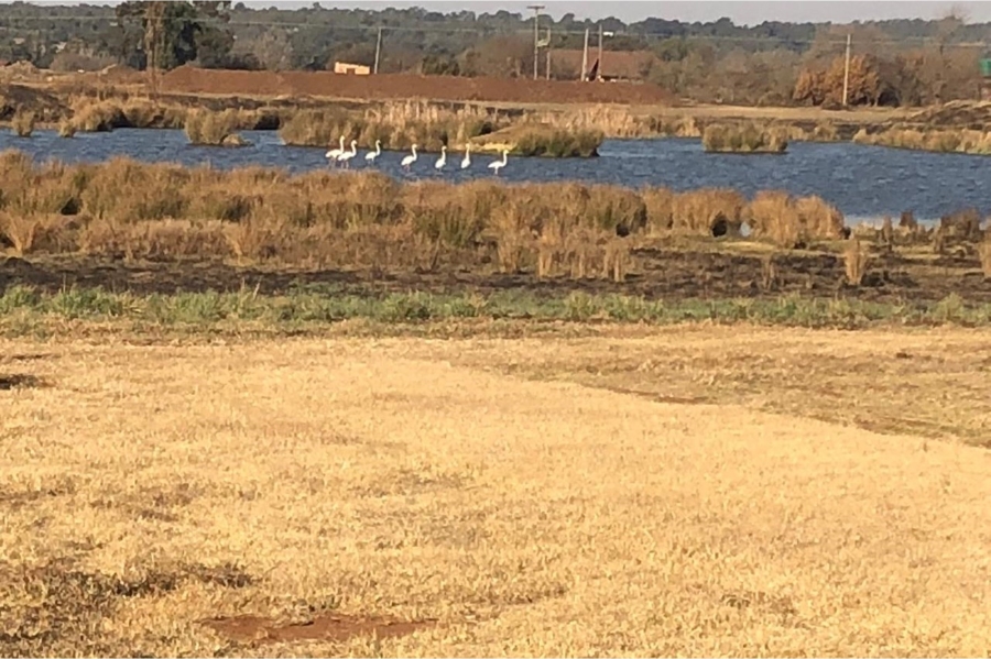 4 Bedroom Property for Sale in Bapsfontein Gauteng