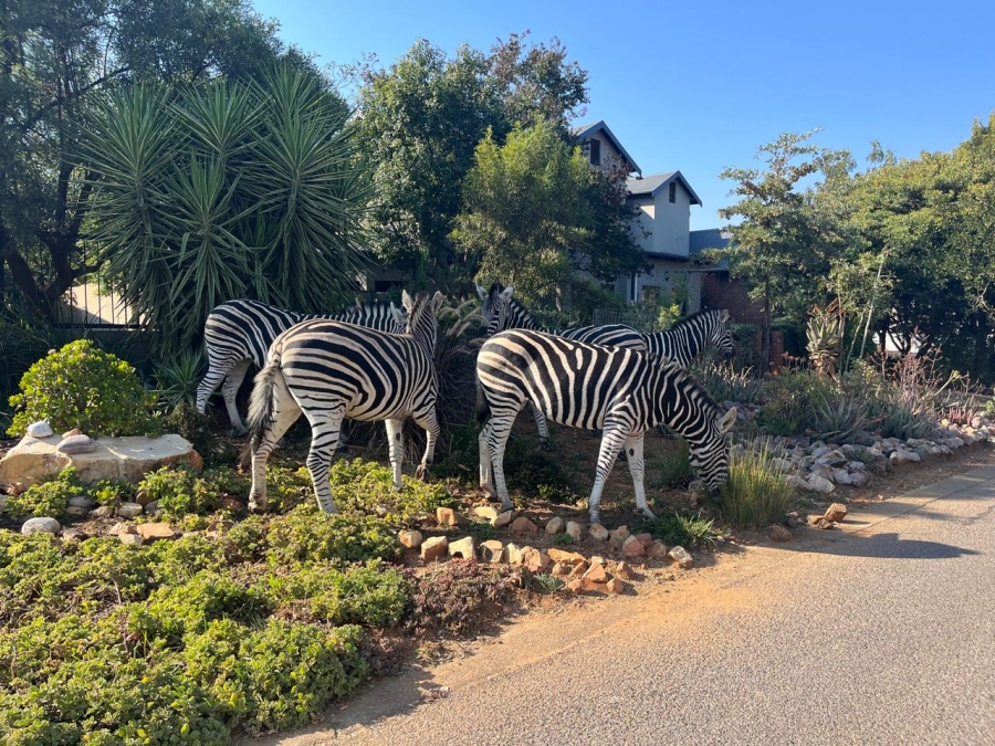 4 Bedroom Property for Sale in Sable Hills Gauteng