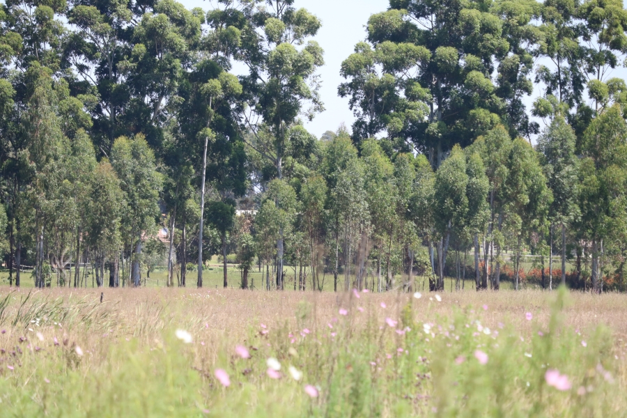 6 Bedroom Property for Sale in Zesfontein A H Gauteng
