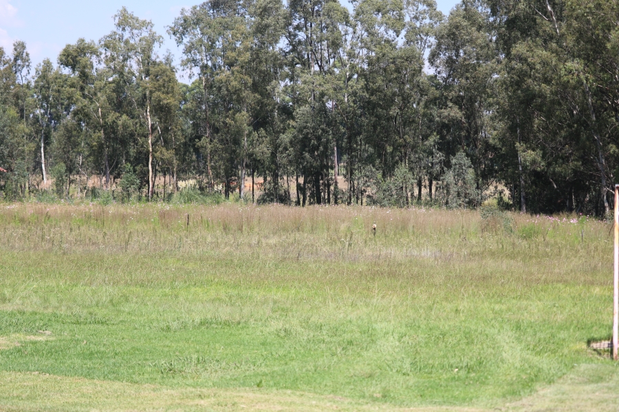 6 Bedroom Property for Sale in Zesfontein A H Gauteng