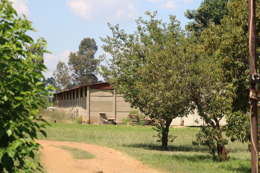 6 Bedroom Property for Sale in Zesfontein A H Gauteng