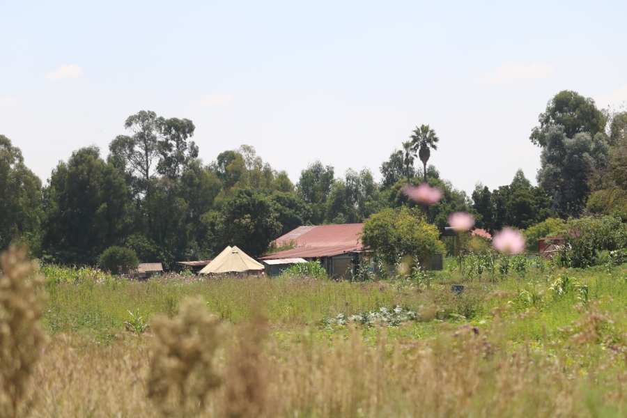 6 Bedroom Property for Sale in Zesfontein A H Gauteng