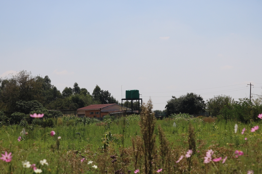 6 Bedroom Property for Sale in Zesfontein A H Gauteng