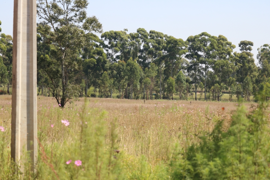6 Bedroom Property for Sale in Zesfontein A H Gauteng