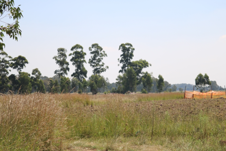6 Bedroom Property for Sale in Zesfontein A H Gauteng