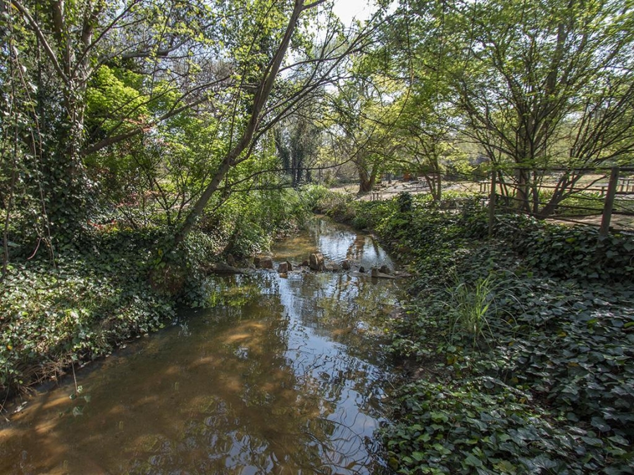 Commercial Property for Sale in Noordhang Gauteng