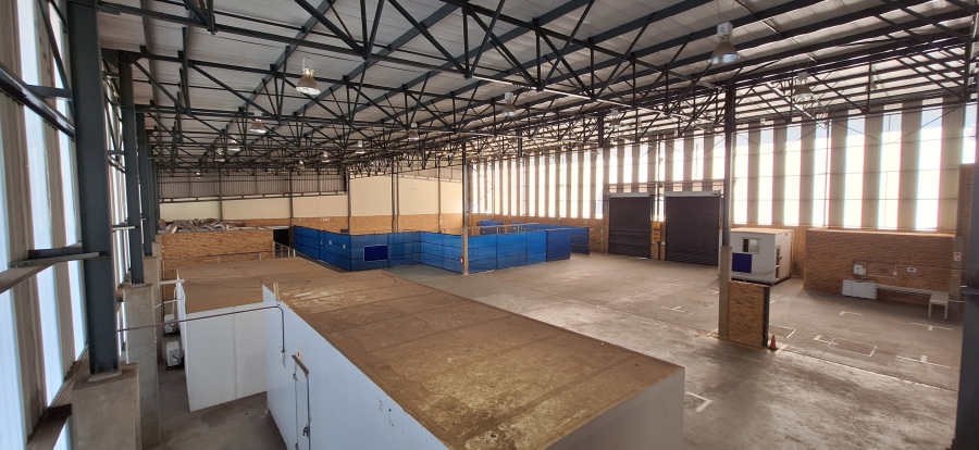 To Let commercial Property for Rent in Laser Park Gauteng