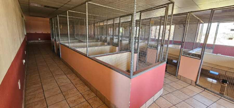 To Let commercial Property for Rent in Parkrand Gauteng
