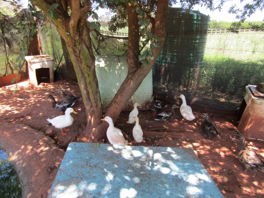 4 Bedroom Property for Sale in Randfontein Rural Gauteng