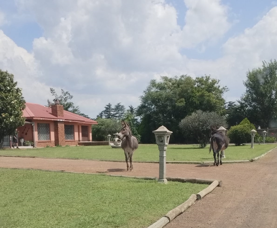 4 Bedroom Property for Sale in Buyscelia Gauteng