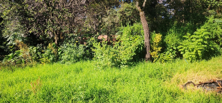 4 Bedroom Property for Sale in Bryanston Gauteng