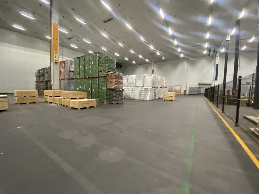To Let commercial Property for Rent in Longmeadow Gauteng