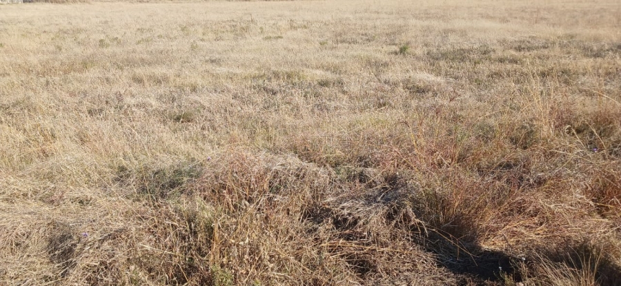 0 Bedroom Property for Sale in Nelsonia Gauteng