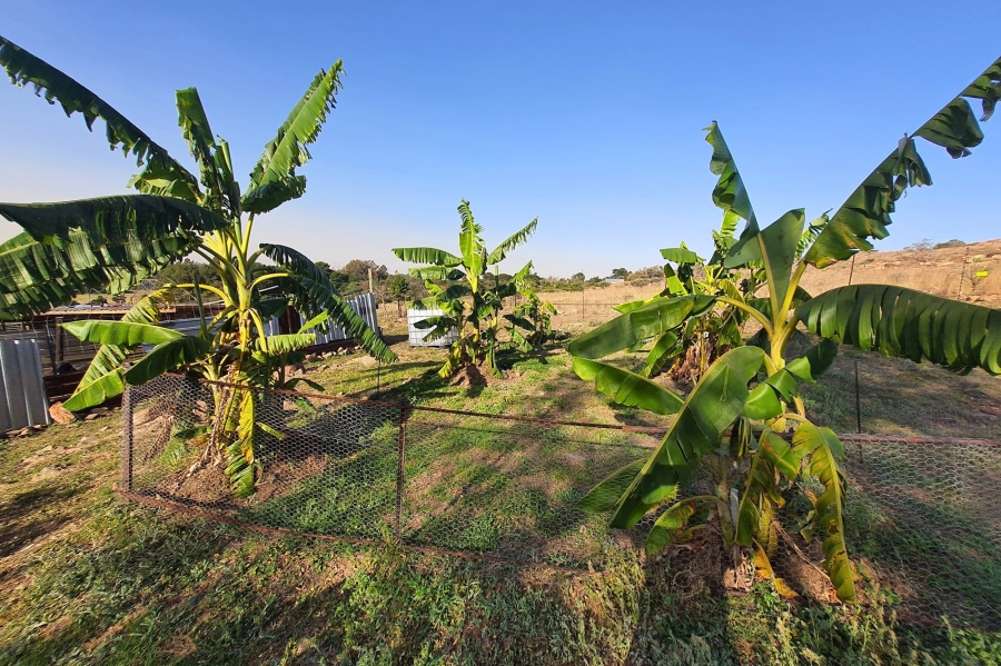 7 Bedroom Property for Sale in Rayton Gauteng