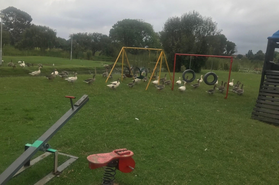 To Let 2 Bedroom Property for Rent in Impala Park Gauteng