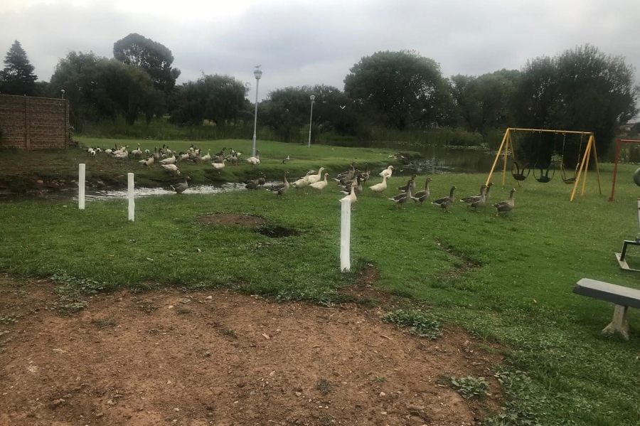 To Let 2 Bedroom Property for Rent in Impala Park Gauteng
