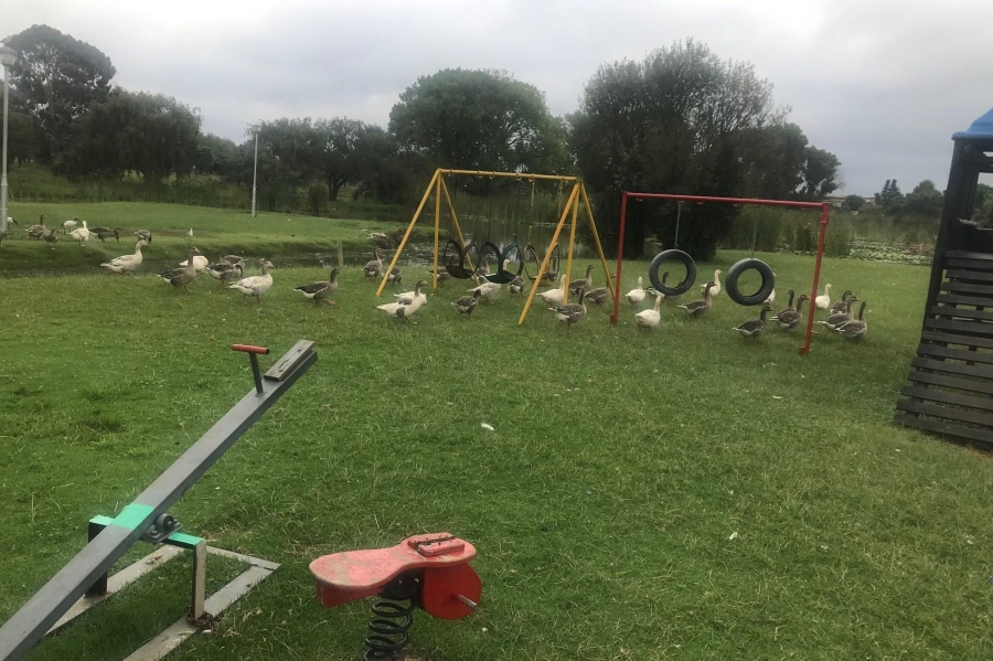 To Let 2 Bedroom Property for Rent in Impala Park Gauteng