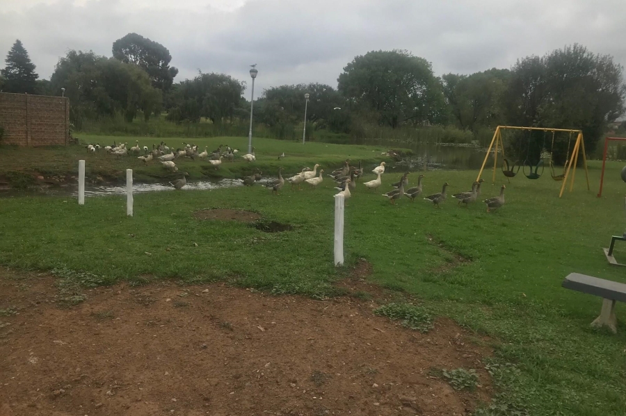 To Let 2 Bedroom Property for Rent in Impala Park Gauteng