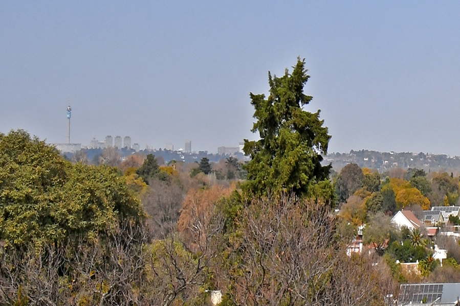 2 Bedroom Property for Sale in Craighall Park Gauteng
