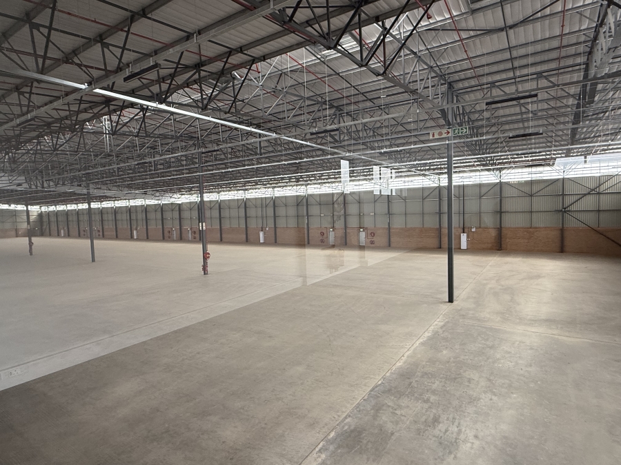To Let commercial Property for Rent in Airport Park Gauteng