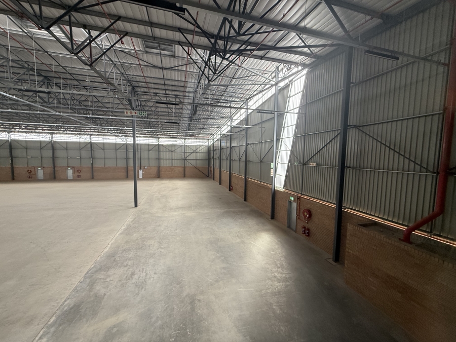 To Let commercial Property for Rent in Airport Park Gauteng