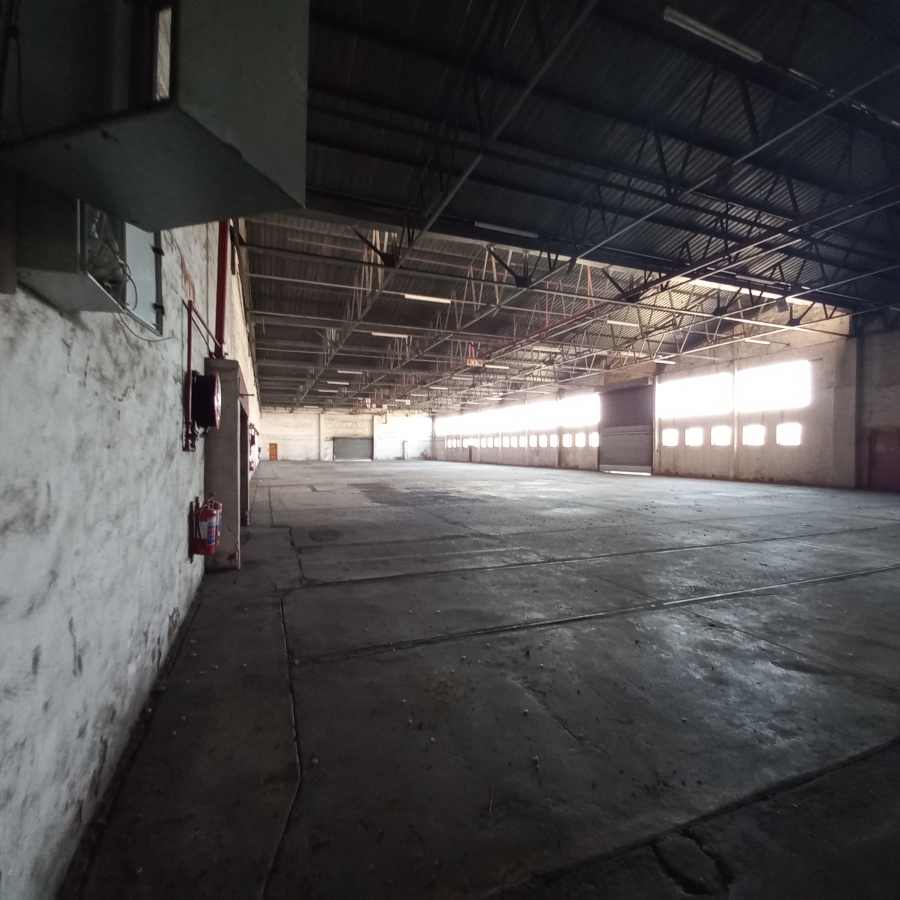 To Let commercial Property for Rent in Boksburg East Gauteng