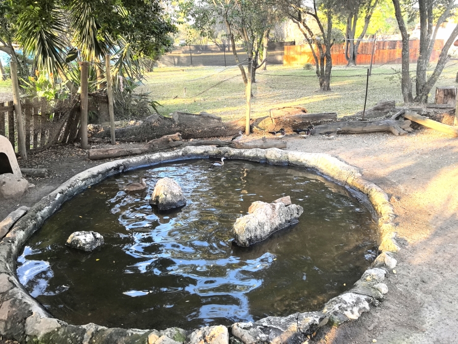 4 Bedroom Property for Sale in Laezonia Gauteng