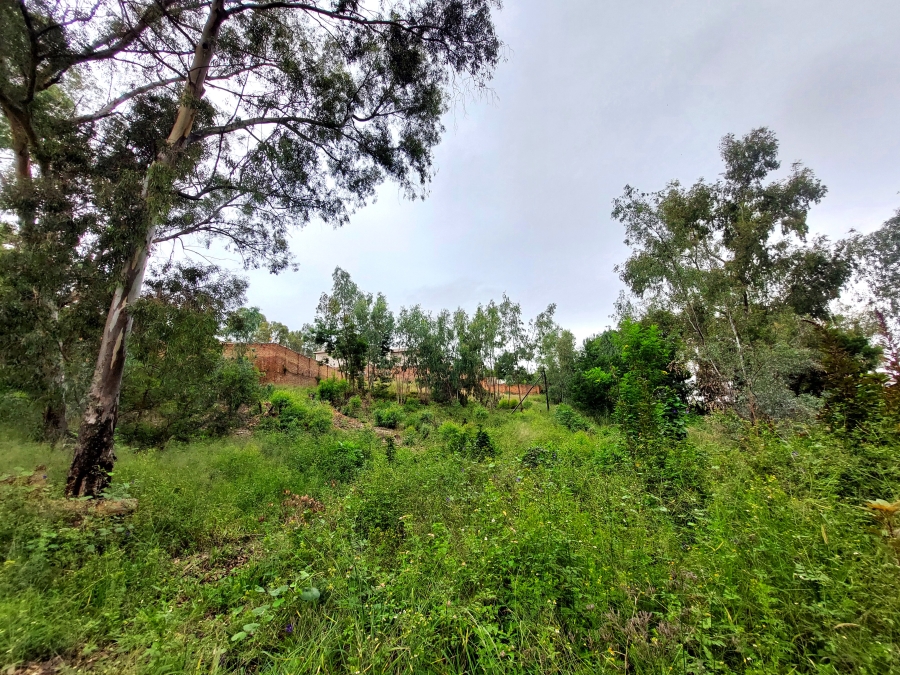 0 Bedroom Property for Sale in Waterkloof Heights Gauteng
