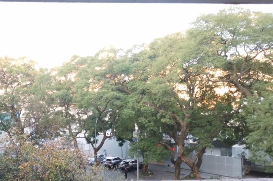 To Let 1 Bedroom Property for Rent in Parktown Gauteng