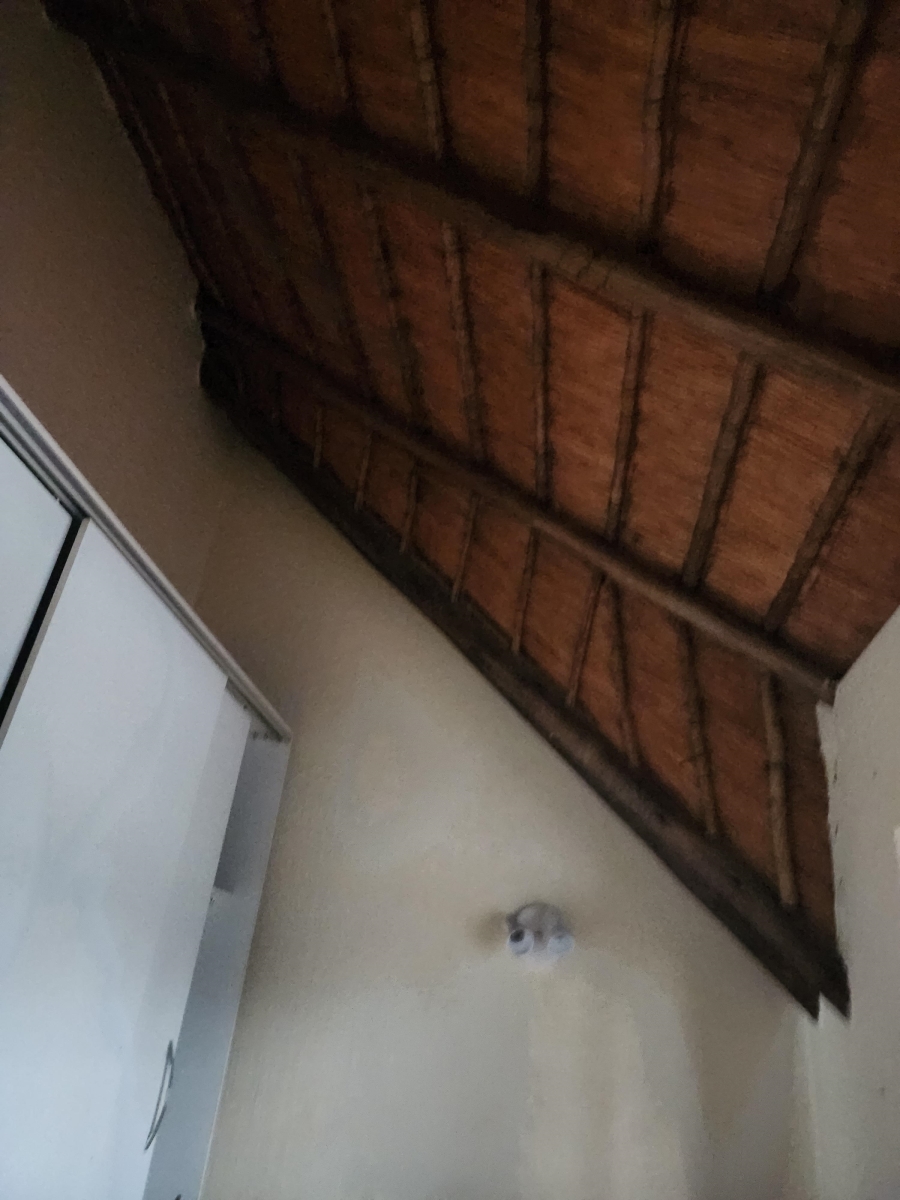 To Let 3 Bedroom Property for Rent in Buccleuch Gauteng