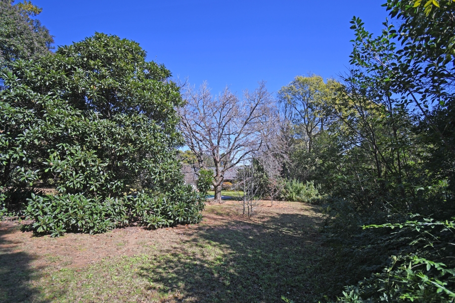 4 Bedroom Property for Sale in Hurlingham Gauteng