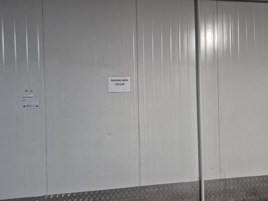 To Let commercial Property for Rent in Isando Gauteng