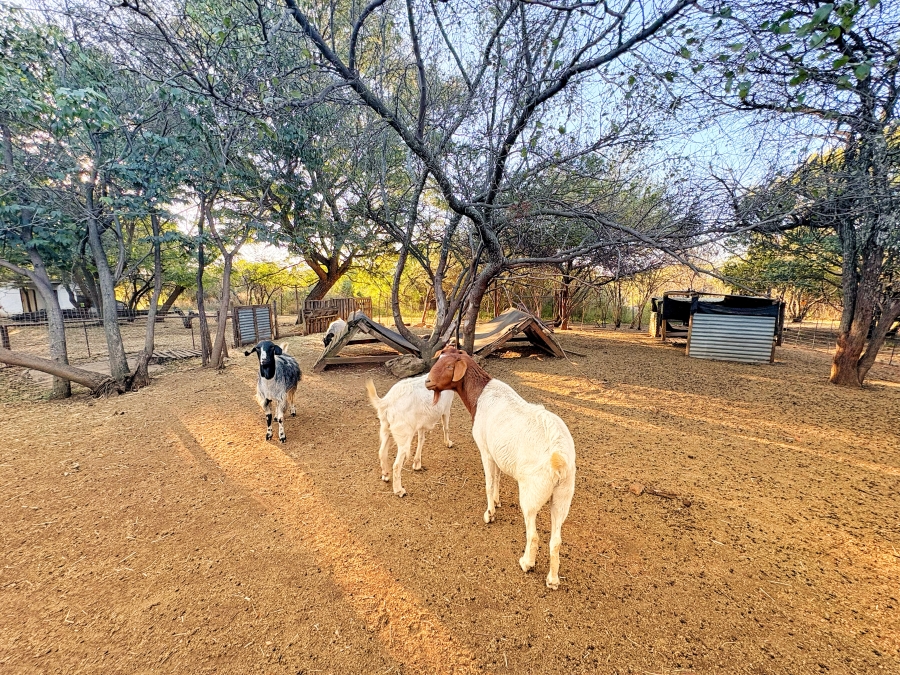 5 Bedroom Property for Sale in Bon Accord Gauteng