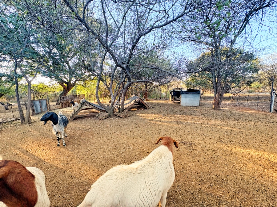 5 Bedroom Property for Sale in Bon Accord Gauteng