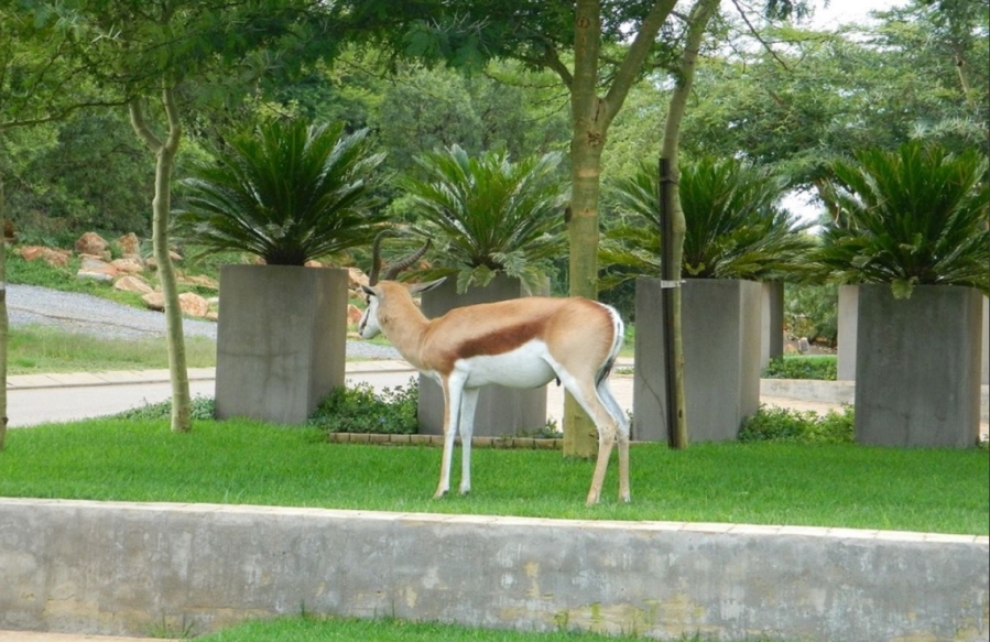 To Let 1 Bedroom Property for Rent in Silver Lakes Golf Estate Gauteng