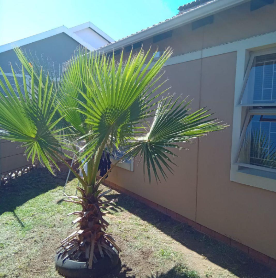 3 Bedroom Property for Sale in Leopard