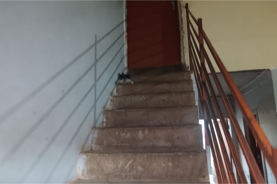 2 Bedroom Property for Sale in Lufhereng Gauteng