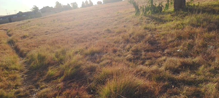 0 Bedroom Property for Sale in Vogelstruisbult Gauteng