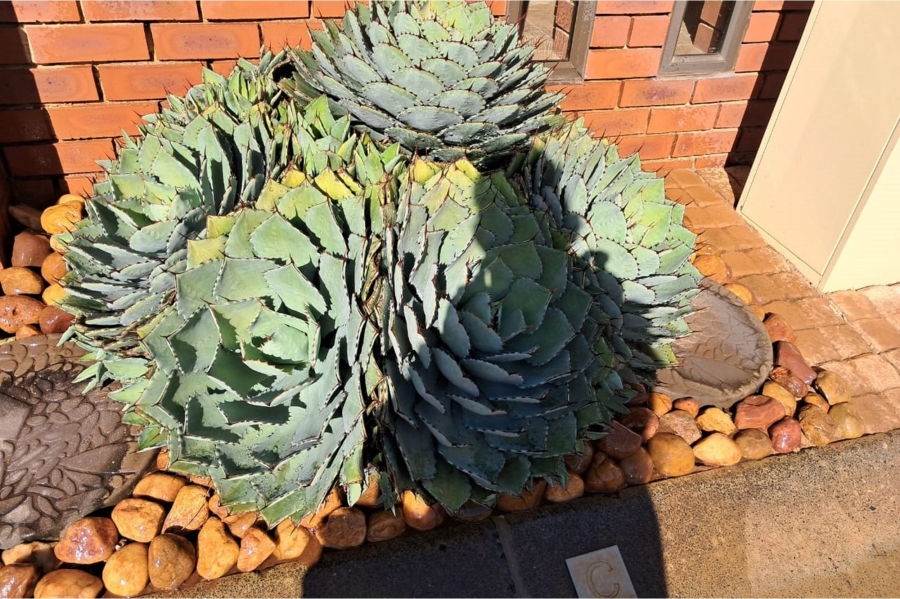 2 Bedroom Property for Sale in Montana Gauteng