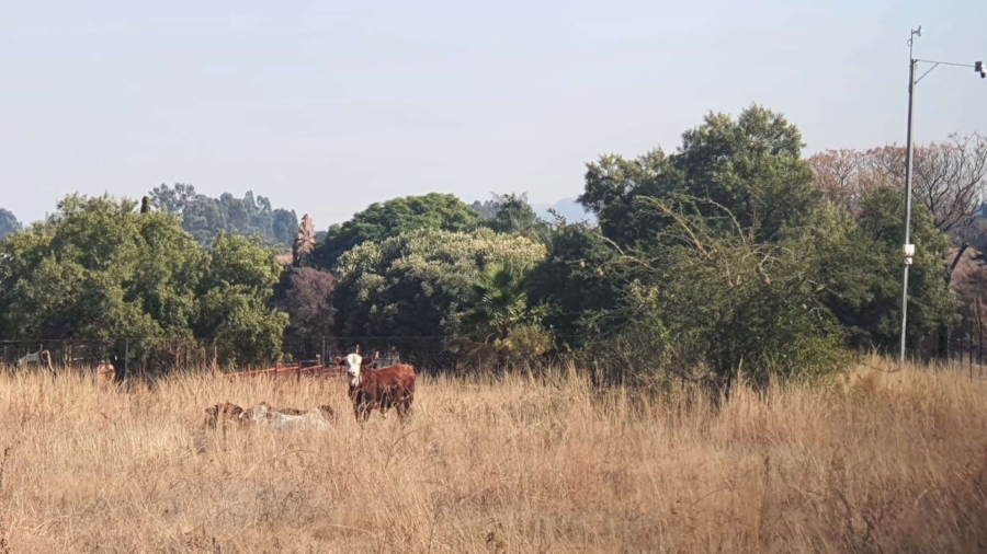 5 Bedroom Property for Sale in Andeon AH Gauteng