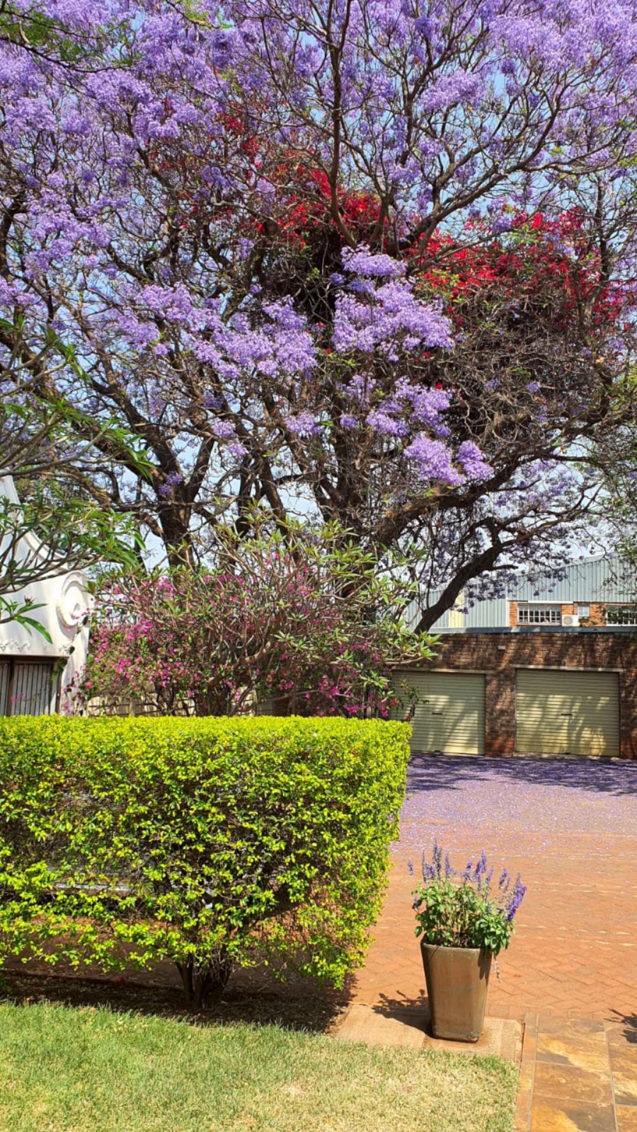 5 Bedroom Property for Sale in Andeon AH Gauteng