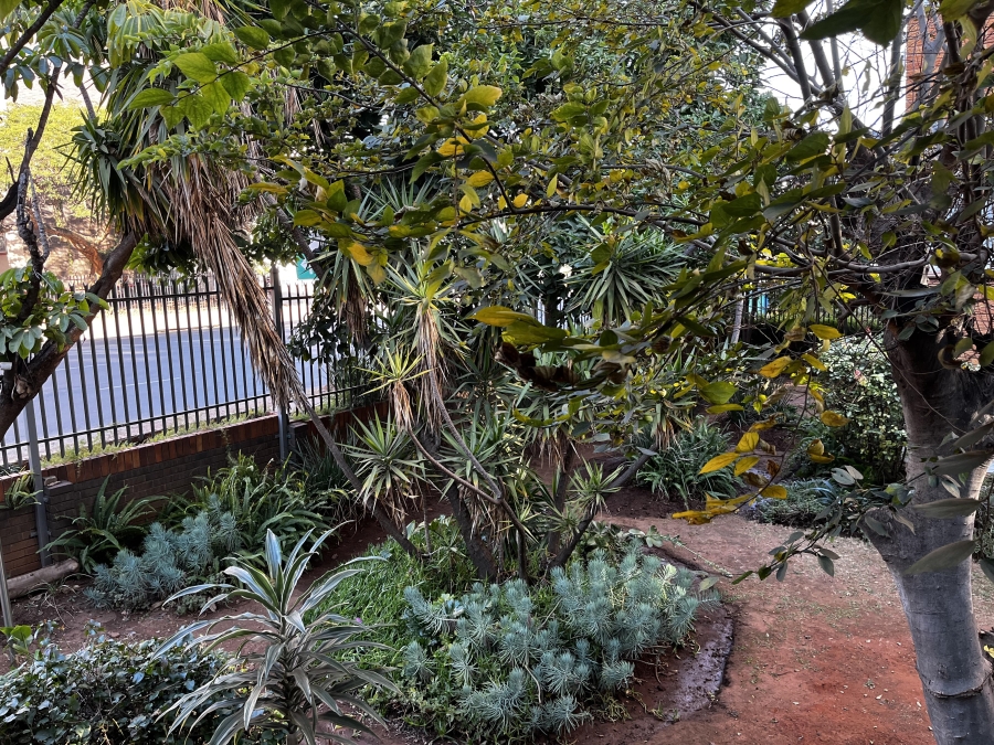 3 Bedroom Property for Sale in Arcadia Gauteng