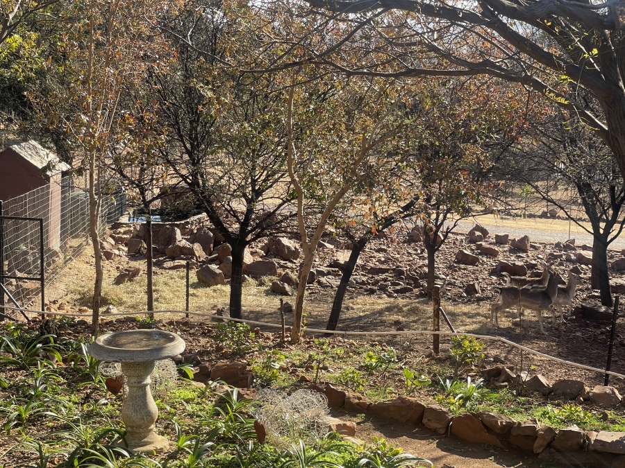 5 Bedroom Property for Sale in Blue Saddle Ranches Gauteng