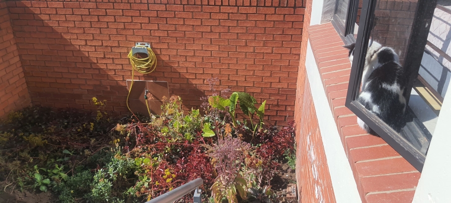 2 Bedroom Property for Sale in Greenstone Hill Gauteng